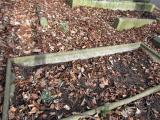 image of grave number 923340